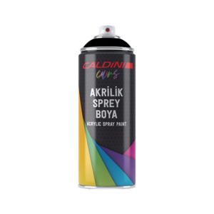 Vopsea Spray Negru Mat